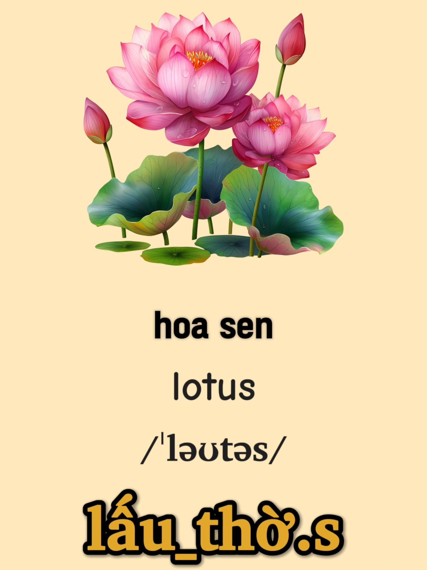 Từ Vựng Tiếng Anh Chủ Đề Các Loài Hoa #hoctienganhcungbe #hoctienganhdongian #hoctuvung