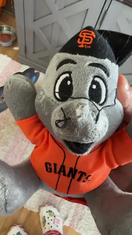 This is why we can’t have anything nice 🤦‍♀️ #frenchbulldog #sfgiants #pets #doggiesbehavingbadly #bayarea 