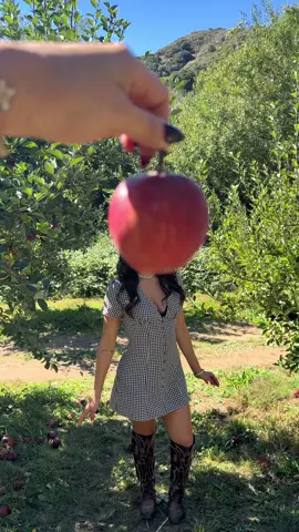 @Laurén my sauce 🍎💋