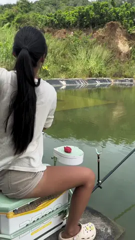 Only anglers understand this joy — the calm, the patience, and the thrill when the fish finally bites! 🎣✨ Hanya pemancing yang faham nikmat ni — tenang menunggu, sabar menanti, dan rasa puas bila ikan menyambar! 🐟💪 钓鱼的乐趣，只有钓鱼人才能体会！放松心情，享受每一次上钩的瞬间～🎣 #FishingLife #AnglerVibes #RelaxAndFish #HobiMemancing #钓鱼
