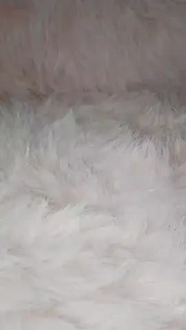 Top Picks for Flawless Skin ✨ #beautytrends #makeuphacks #makeupessentials #cosmetics #fyp 