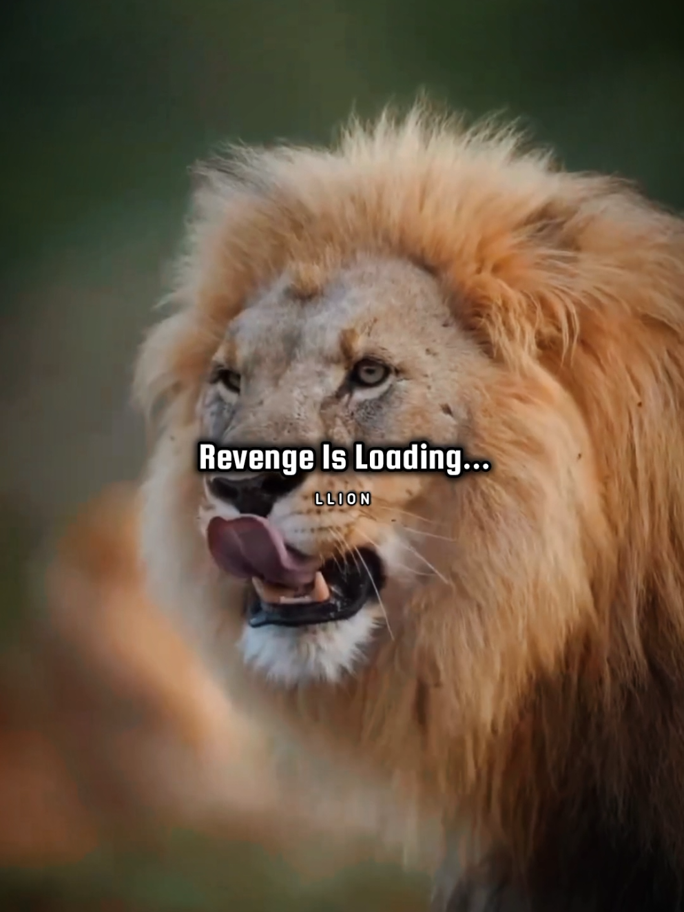 Motivational quotes...🔥💯🦁 . . #success #motivation #trending #tiktok #foryou 