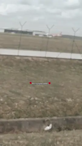 #fyppppppppppppppppppppppppppppppppppp #xyzbca #tenagisgood #positivevibes #kisah 