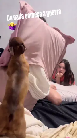 Do nada começa a guerra 🤷‍♀️😂😂😂😂#AliceECacau #MomentosFelizes #pesqueiro #amopinscher #bestfriend 