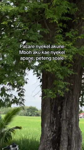 Rodok mlese ngunu soale😁