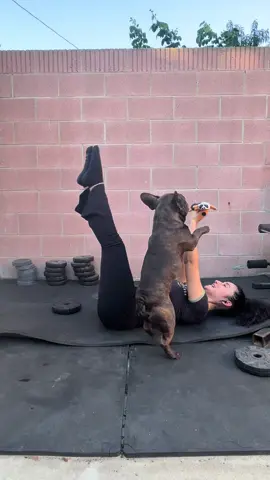 Abs with Thor! #abs #frenchie #absworkout #fyp 