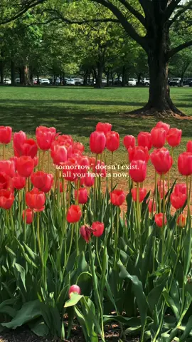 your past can’t be changed and your future is not guaranteed. you are always here and now. this is all that exists.  🫶🏼 let go, love and be grateful. note to self.  #grateful #present #Love #mindset 