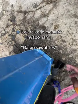 Penting obah toh lek #fyppppppppppppppppppppppp #petanimuda #petanipadi 