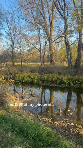 Sometimes, I just need a reset.