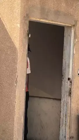 #Enjoytime #sudiaArbia🇸🇦🇸🇦🇸🇦🇵🇰🇵🇰🇵🇰🇵🇰 #topviews #fouryou #newlook 