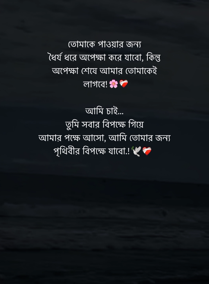 তোমাকে পাওয়ার জন্য আমি সব করতে পারব!  🕊️❤️ #ridu_for_ever 
