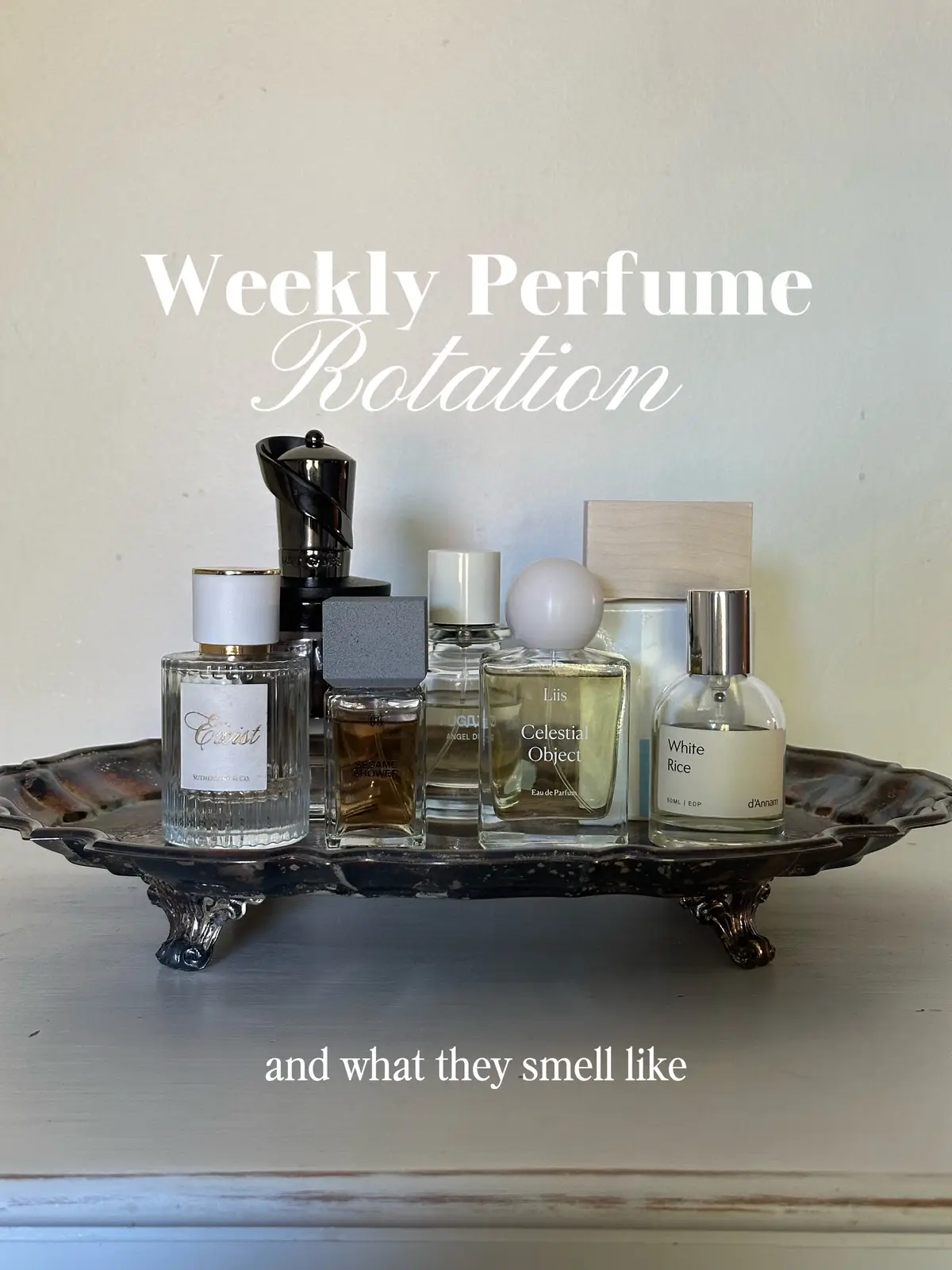 If I could make you sample all of the scents from my weekly perfume tray, this would be the tray of scents I would recommend 🤭 Angel Dust - @FUGAZZI Fragrances Celestia Object - @Liis Playmate - @MIND GAMES Fragrance *pr Sesame Shower - @CONCRETED *pr Bianco Latte - @Giardini di Toscana Exist - @Sutherland and Co White Rice - @d'Annam #perfumereview #perfumetray #perfumetok #fragrance #favoriteperfume @Scent Split @So-Avant-Garde 