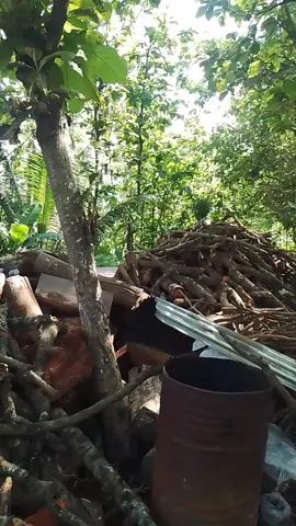 arang bambu #arangbamboo #bambocharcoal #arangasam #tamarind #arangjateng 