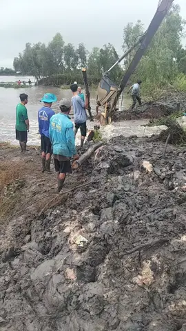 đang cố gắng gia cố cho bà con 2h sáng tới giờ mùa màng vụ này chắc sống hết thương bà con❤️❤️❤️#xecuocmientay #xuhuong #xuhuongtiktok @Tâm Huỳnh Thanh @Nguyễn Phát @minh thái ✈️✈️ @Thanh Hiền Ngô @Hùng Khanh💢 @Mình Nghĩa @lm.sanh.trn0 