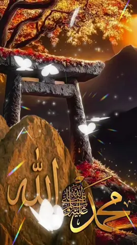 وقوله يارب ☝🏻🙌🏻#creatorsearchinsights #tiktok 