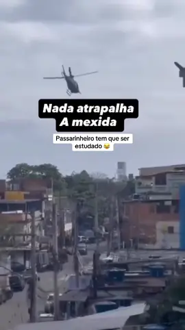 Passarinheiro tem que ser estudado 😂😂 #riodejaneiro #complexodoalemao #coleiro #trincaferro #operacao 