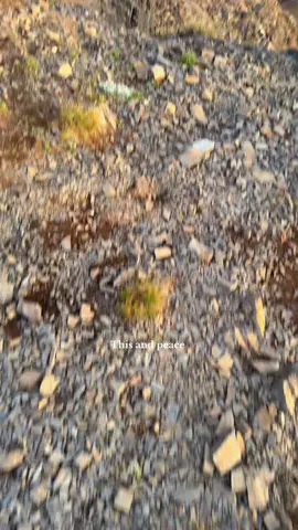 Found my peace #sunrise #banff #Hiking #therapy #nature 