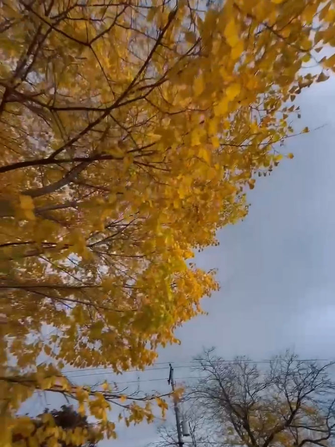 amr furi kita🐸🤣🩴🦶 #jannat_faiza143✨ #foryoupage❤️❤️ #funnyvideos😂 #bdtiktokofficial🇧🇩 #canada_life🇨🇦 