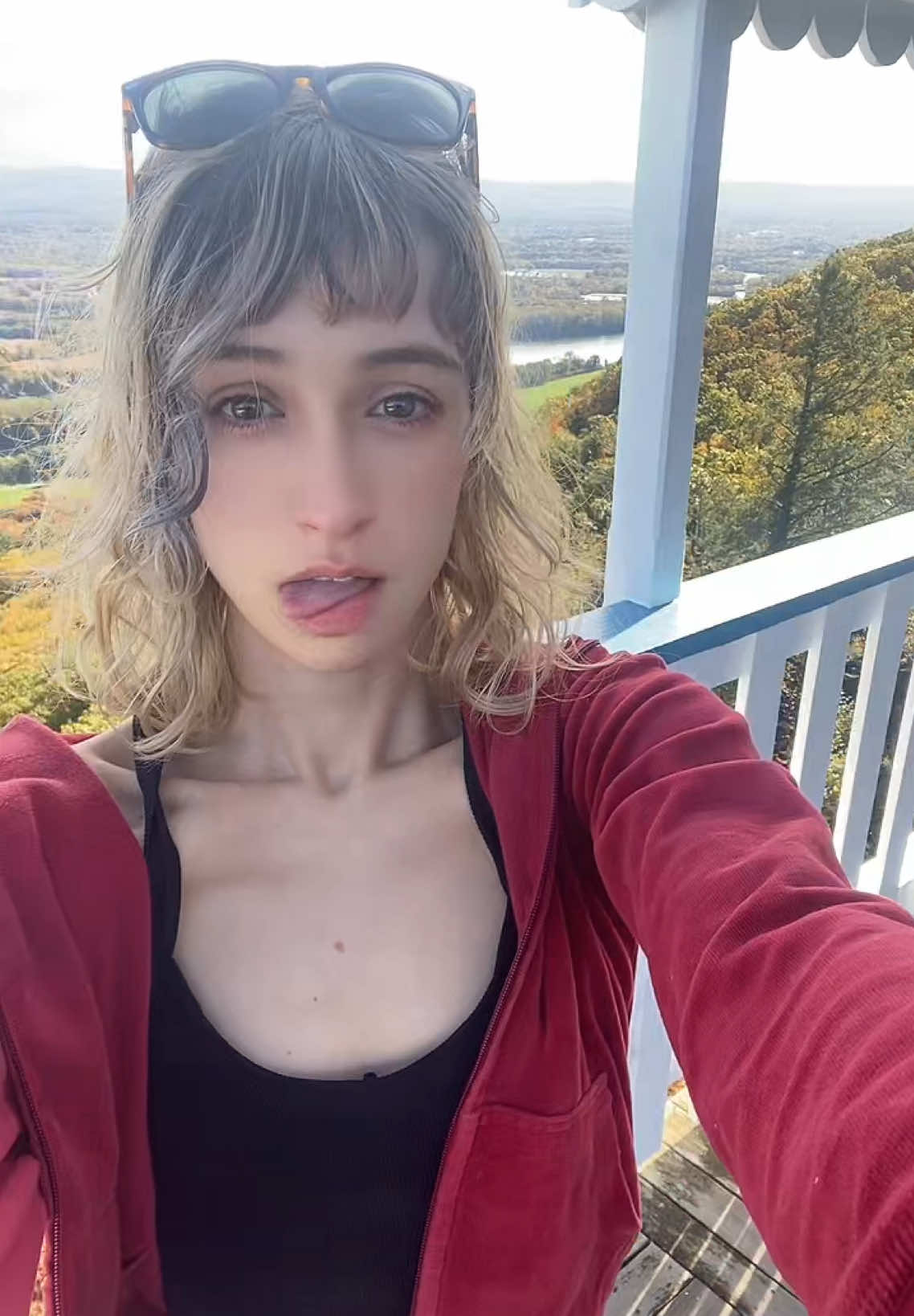 I love the view of fall leaves!!! #fyp #view #foryoupage #nature #shorthair #foryou #fall #bob 