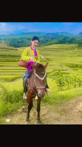 E đây là gái bản