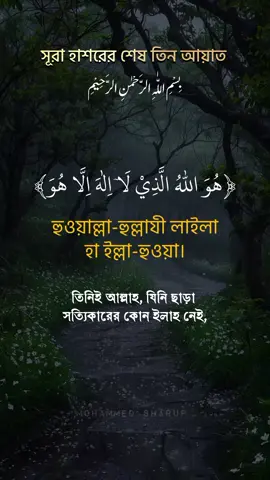 সূরা হাশরের শেষ তিন আয়াত। সূরা আল হাশর,,, #সুরা_হাশরের_শেষ_তিন_আয়াত #foryou #আয়াতুল_কুরসি #কোরআন_তেলোয়াত #সুরা_হাসরের_শেষ_৩_আয়াত🥰🥰 