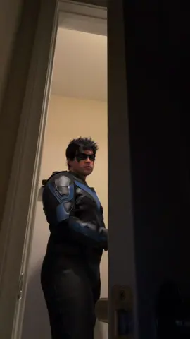 Nightwing after a long day 