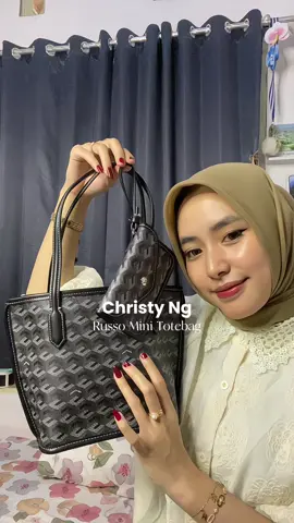 🥹🤏🏻 #totebag #cristyng #russominichristyng #russominitotebag 