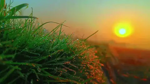 #ইসলামিক_ভিডিও_🤲🕋🤲 #সবাই_একটু_সাপোর্ট_করবেন_প্লিজ 