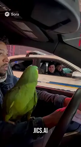 طلع وشاي روكي مو سهل 🤣🤣🤣🤣🤣🤣🤣🤣