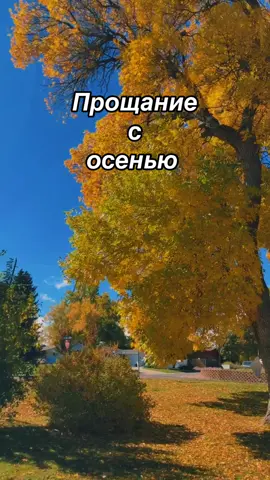 ❤️❤️❤️❤️