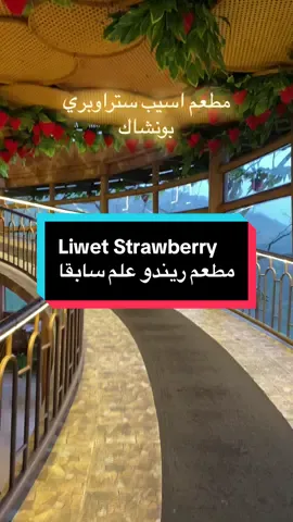 احد مطعم جديد في جبل بونشاك لازم تزورها لا يفوتك الإطلالة و النظافة ممتاز جدا  #بونشاك #اندونيسيا_جمال_طبيعة #بونشاك🇮🇩 #اندونيسيا #بالي 