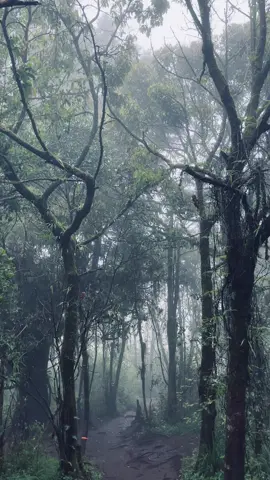 #mongkrang #bukitmongkrangtawangmanggu #fypp #naturevibes #Hiking 