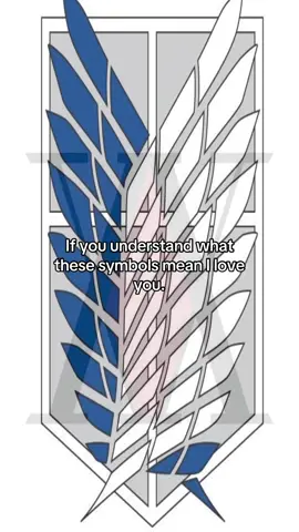 You understand right🥹🥹 #fypシ #anime #animetiktok #animefyp #hxh #aot #souleater 