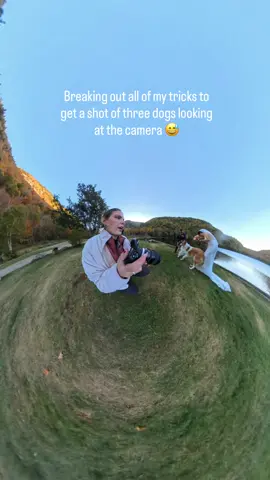 Any other photographers make these sounds? 😂 #weddingphotographer #weddingphotography #photographers #elopementphotographer 