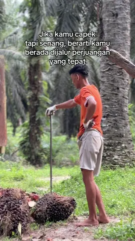 Semangat cess💪 @riandi18_ @Ari Sandi #pemuatsawit #sawitontiktok #storysawit🌴🌴 #foryoupage #fyp 