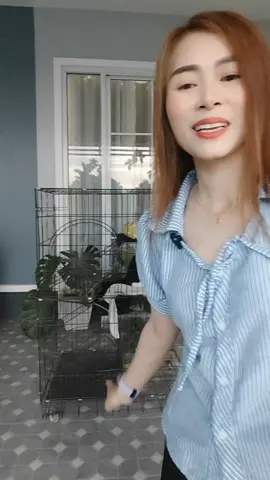 กรงแมวพับได้กรงกระต่ายกรงสัตว์เลี้ยง#กรงแมว #กรงกระต่าย #กรงสัตว์เลี้ยง #กรงแมวพับได้ #แอ๋มมี่🌹🌹 