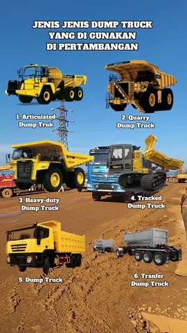 Jenis Dump truck yang ada di tambang #tambang #alatberat #dumptruck #batubara 