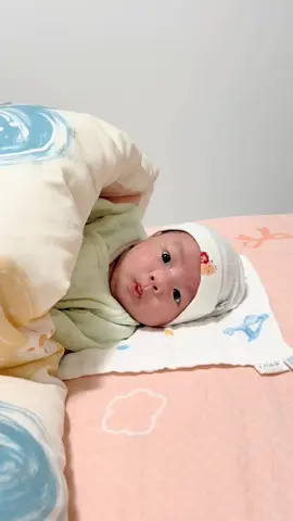 Có ai nghĩ là đang đăng ảnh con mình k, 🐍 năm nay sx theo lô thì phải #via2vach #goccuabonkhongrang #taphoabonkhongrang #bonkhongrang #viaconcung 