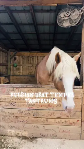 #livehighlights #tiktoklive 