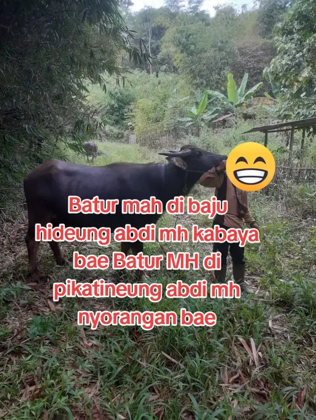 semangat#sorotan #budakangon #fyp 