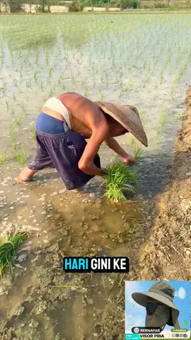 #tooi #topigunung #topipetani #topiantiuv 