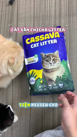 Giá hơi nhỉnh một chút nhưng đáng trải nghiệm nha mấy bà. Không bết, vón nhanh, mà không bụi đâu#chicha #catsan #cat #giadinhbobi 
