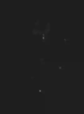 নৌকা জয় বাংলা জয় বঙ্গবন্ধু জয় শেখ হাসিনা। 