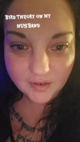 it was blue guys #birdtheory #bird #bluebird #thebird #thebirdtheory 