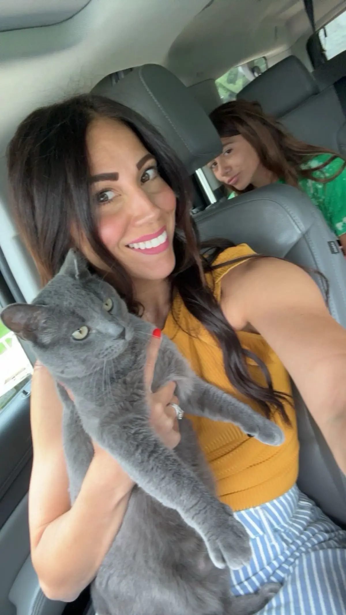 #fy #fyp #fypシ #cat #mybaby 