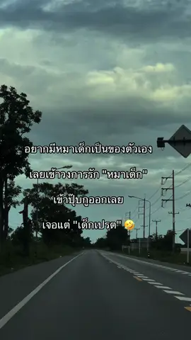 #เทรนด์วันนี้ #สตอรี่ความรู้สึก #ฟีดดดシ #เปิดการมองเห็น #ยืมลงสตอรี่ได้ 