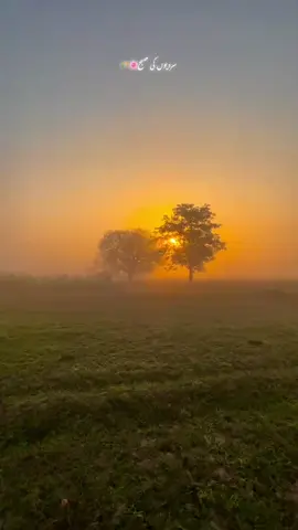 🌅🌅🙂❤️😌🤫🤫❤️❤️🌹🌹🌹🌹☝️☝️☝️☝️☝️👍👍👍👍🤭🤭🤭🤭🤭