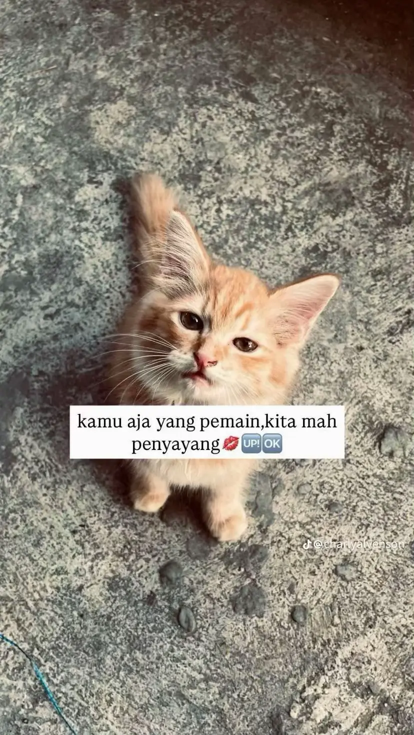 #fyp #ngikuttrend🔥 