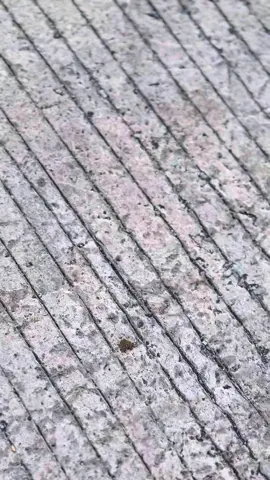 Pinjem Sound sengkuni 🥶 #sengkuniledalede #serpico150_thailand #serpico150 #serpico150ช่างนุขลอง6 #kwbspeedshop 