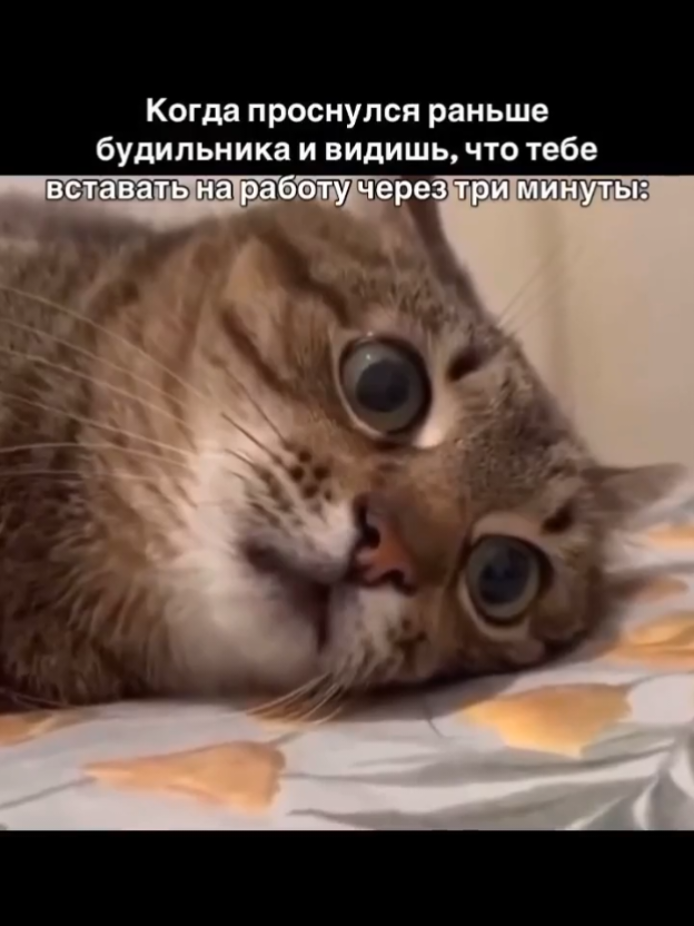 #жизнь #жиза #смех #отношения #будильник 